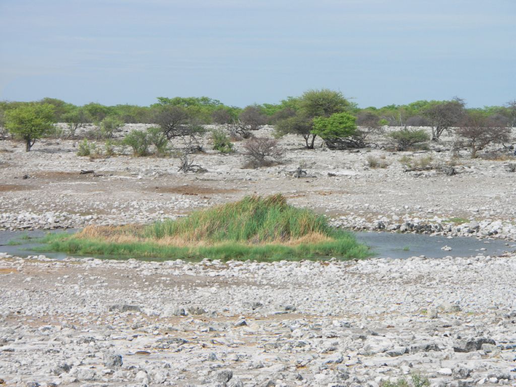 etosha pan